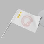 17’li Türk Devletleri Seti 30×45 Sopalı - Görsel 2