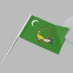 17’li Türk Devletleri Seti 30×45 Sopalı - Görsel 11