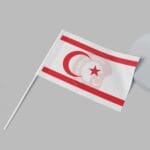 27'li Türk Devletleri Seti 30x45 - Sopalı - Görsel 24