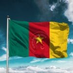 Kamerun Bayrağı