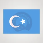 Doğu Türkistan Makam Bayrağı Satın Al 2