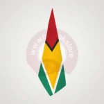 Guyana Makam Bayrağı Satın Al 1