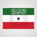 Somaliland Makam Bayrağı Satın Al 2