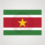 Surinam Makam Bayrağı Satın Al 2