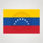 Venezuela Makam Bayrağı Görsel 2