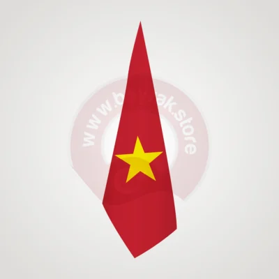 Vietnam Makam Bayrağı Görsel 1